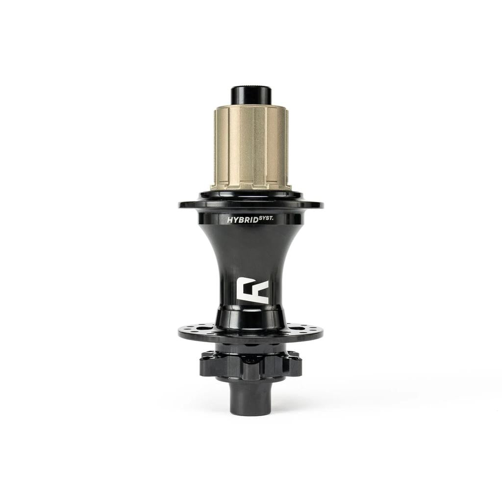 A black and gold Radio Sonar 148 Rear Hub labeled "HYBRID 19/21" is shown upright against a white background, featuring the innovative Hybrid Freecoaster System.