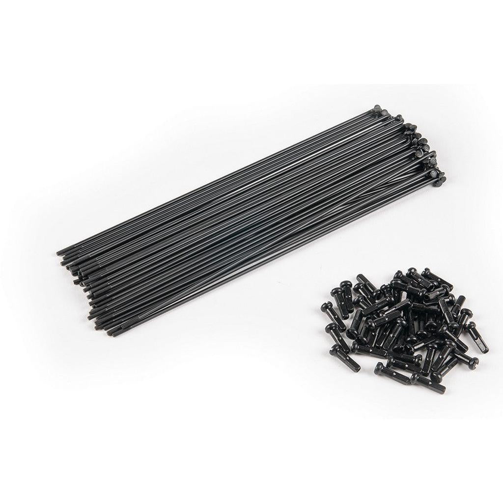 A bundle of black bicycle spokes and matching black spoke nipples are displayed on a white background—ideal for building your dream wheel or upgrading the Eclat Cortex X Bondi Logo Front Wheel.