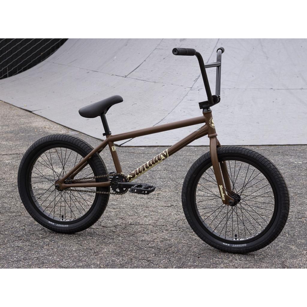A brown Sunday EX Julian Arteaga 20 Inch BMX bike with black tires and gold lettering is parked on pavement near a concrete skate ramp.