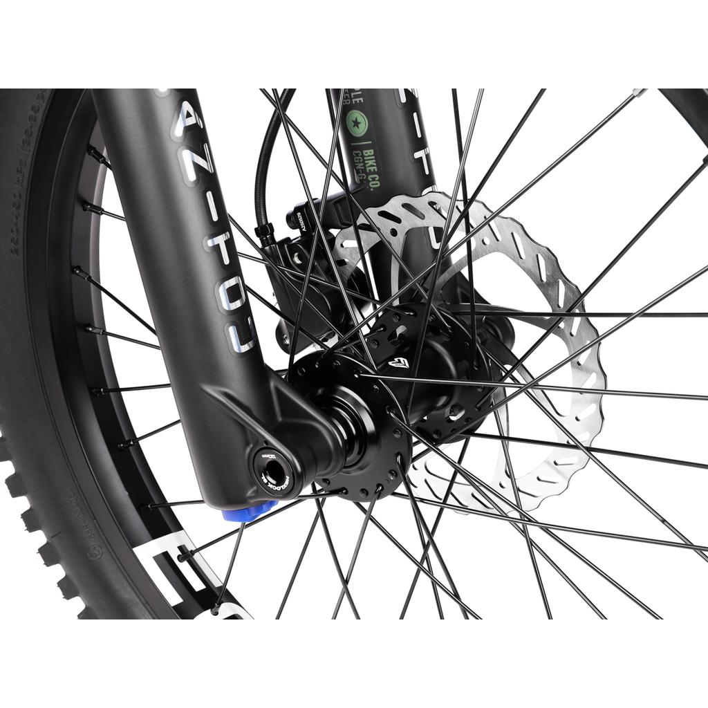 Wethepeople The Swampmaster 20 Inch Bike