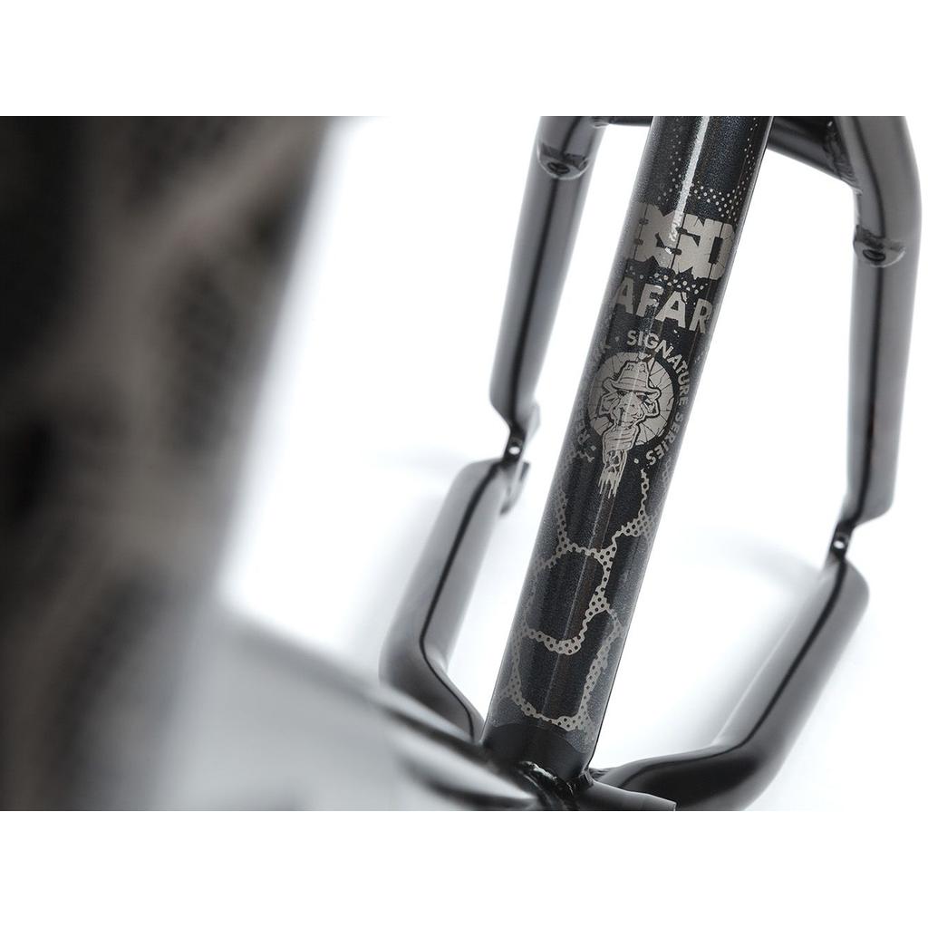 BSFR036