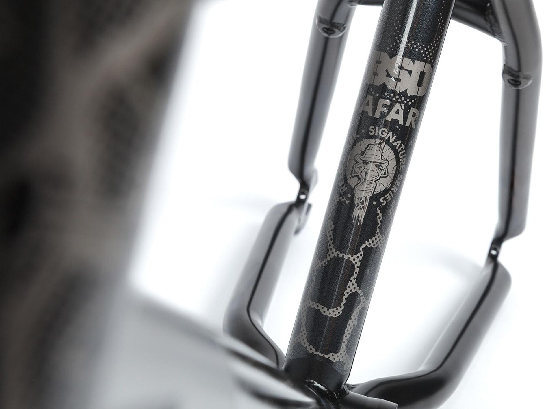 BSFR036