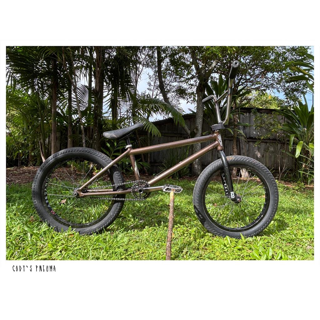 Cody Pollard Terrible One Pneuma Frame