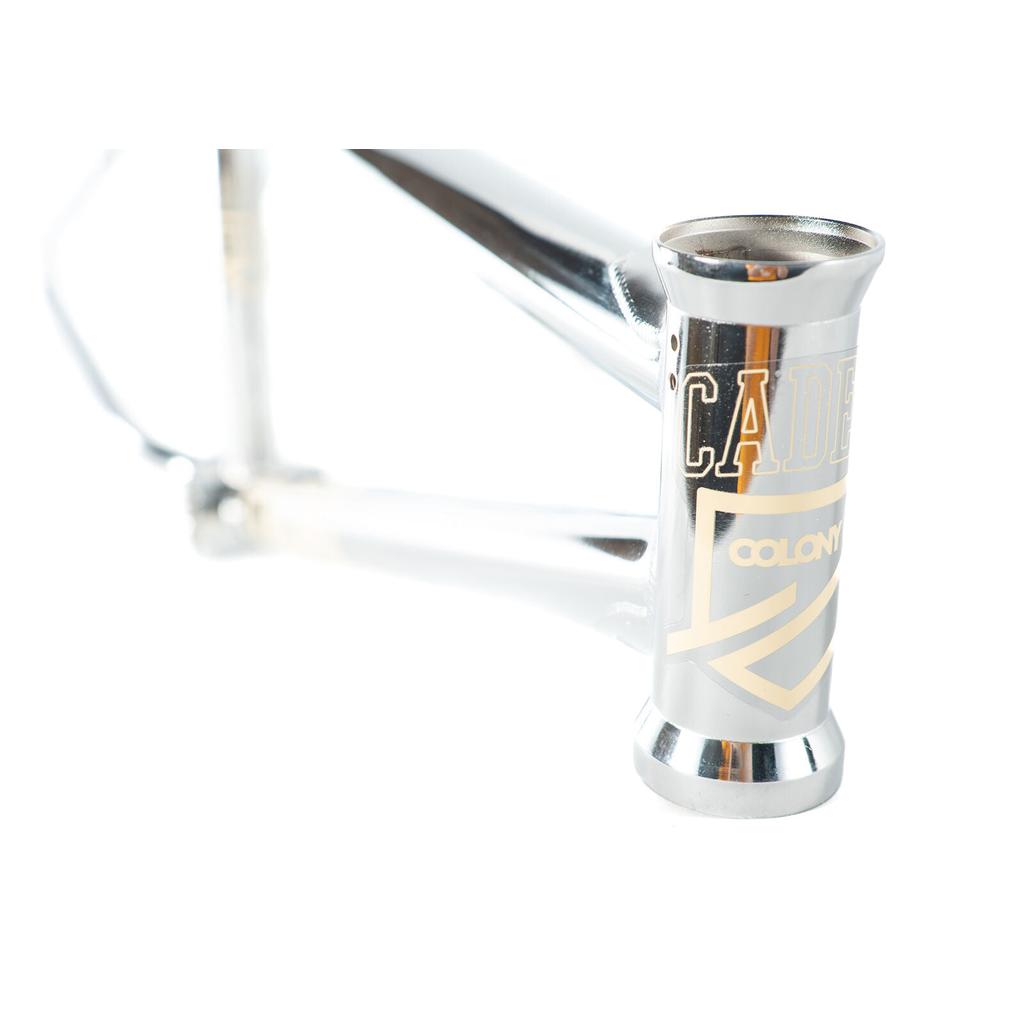 Close-up of a chromoly Colony Cadet 20 inch Frame head tube featuring "CADET" and "COLONY" logos in gold lettering.