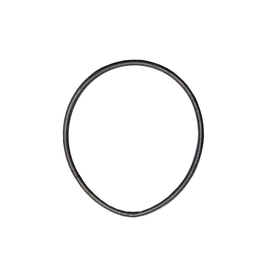 A black, flexible corrugated tube, resembling the ECLAT Blind Spring, is coiled in a circular shape against a plain white background, similar to the form of a Blind freecoaster hub or its replacement driver spring.