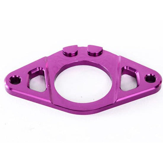 Colony Gyro Plate / Purple