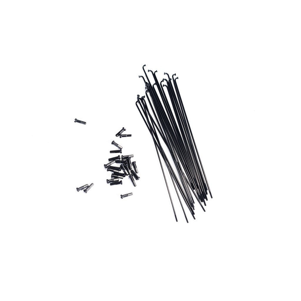 Colony Spokes & Nipples (20 pack) / Black / 184mm