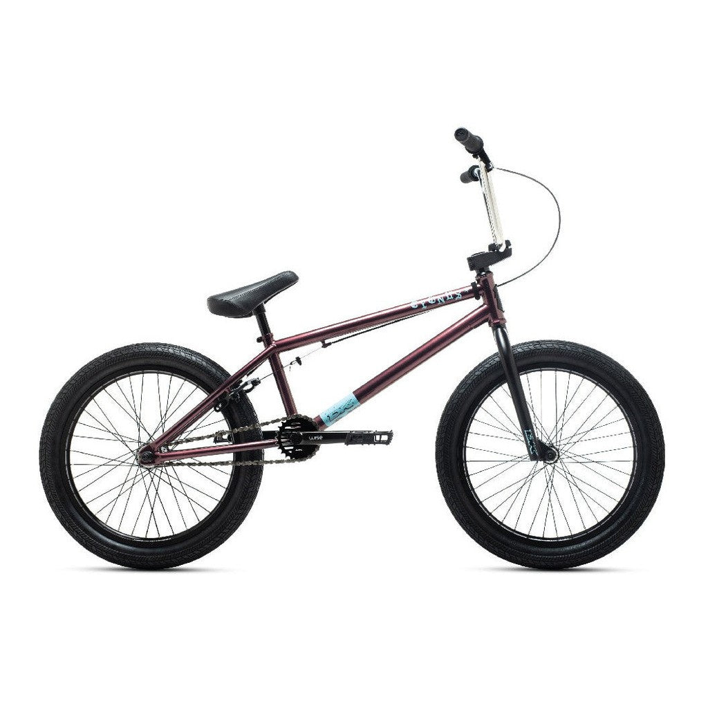 DK Cygnus 20 Bike (2021) / Purple / 20.5TT