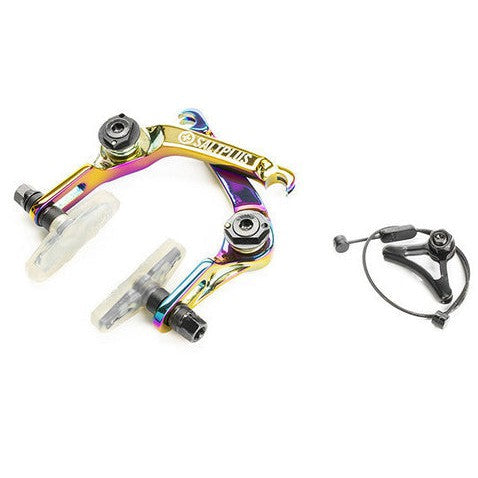 Salt Plus Echo U-Brake-Oil Slick