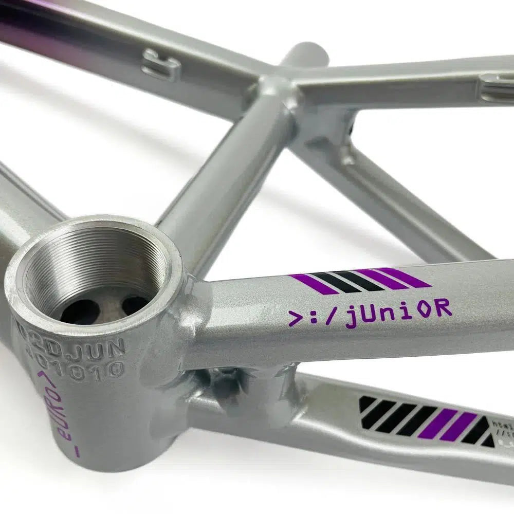 Close-up of a grey aluminium race frame with purple accents, crafted from 6061 alloy tubing, and the text "juni0R" on the side. Staystrong V5 Disc Expert XL Frame.