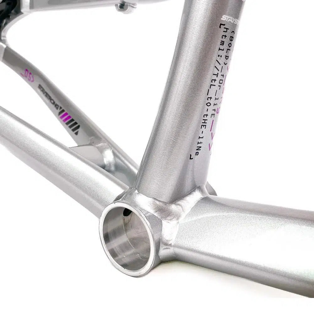 Close-up view of a silver aluminium Staystrong V5 Disc Pro XL Frame showing detailed weld joints and a printed serial number on the tubing.