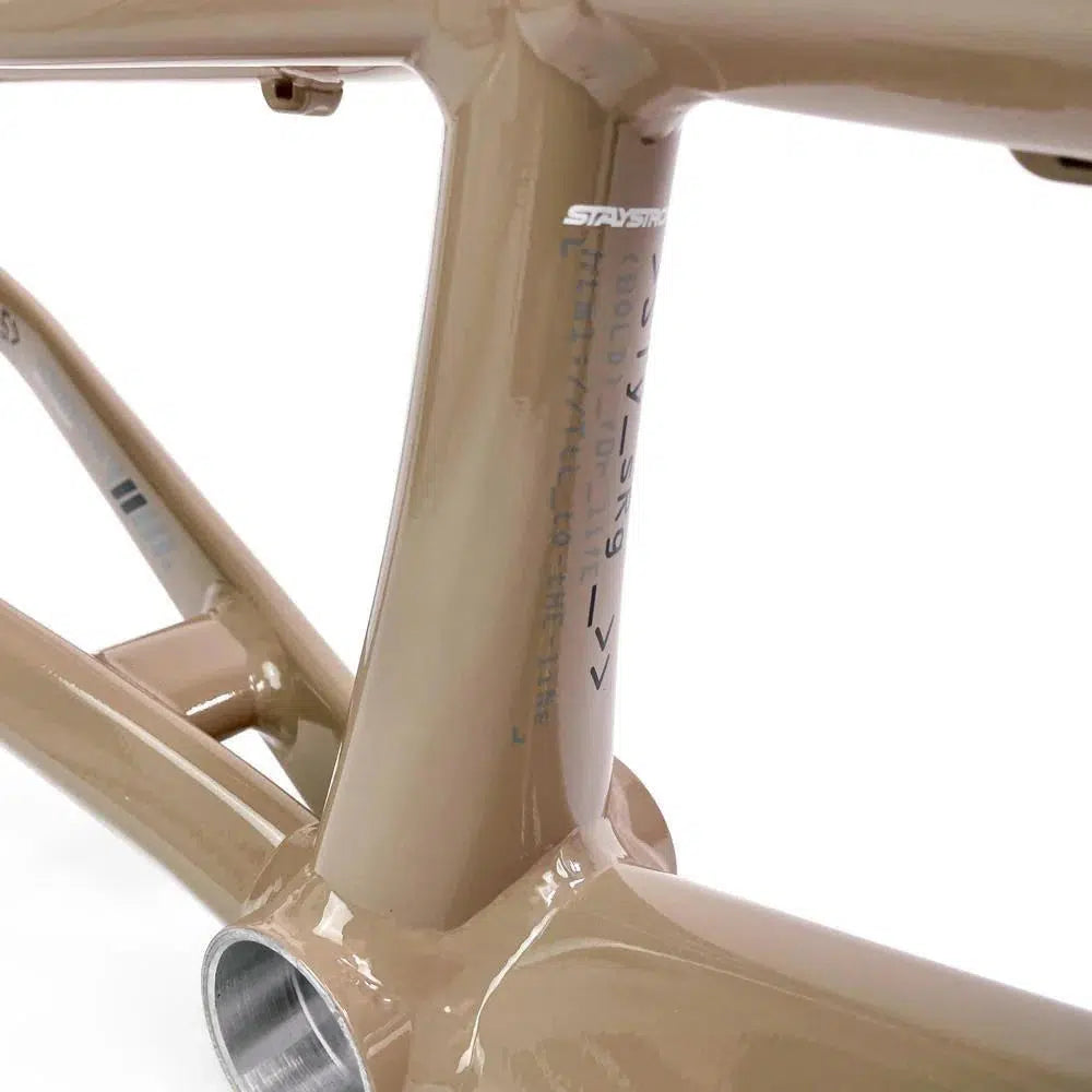 Close-up of the Staystrong V5 Disc Pro XXL Cruiser Frame in beige aluminium, highlighting welds, bottom bracket area, disc brake mounts, and serial numbers on the vertical tube.