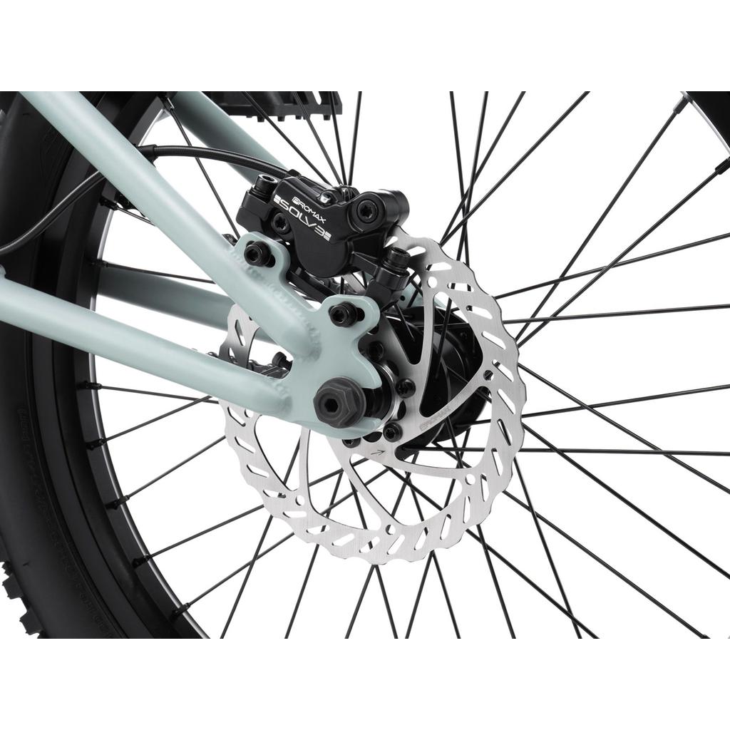 Close-up of the Wethepeople Swampmaster 20 Inch Bike’s rear wheel with a disc brake rotor and hydraulic caliper, showcasing advanced BMX components designed to meet the high demands of BMX bike racing.