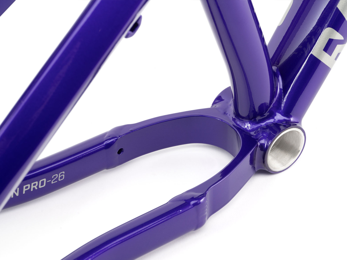 Radio Griffin Pro 26 Dirt Jumper Frame