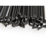 ECHP103-182-BLK