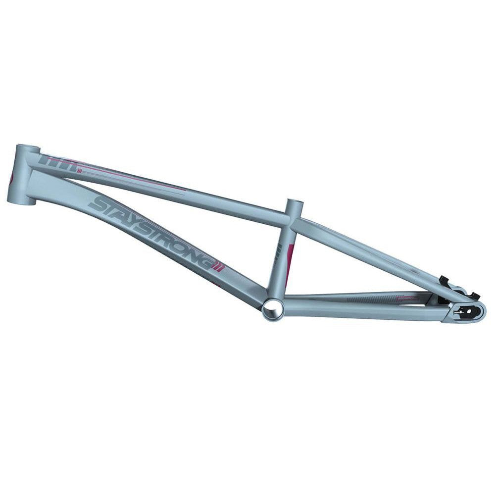 Stay Strong For Life V4 Pro XXXL Race Frame - Disc Version / Grey / 22.25TT