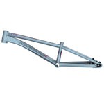 Stay Strong For Life V4 Pro XXXL Race Frame - Disc Version / Grey / 22.25TT