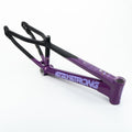 Black/Purple
