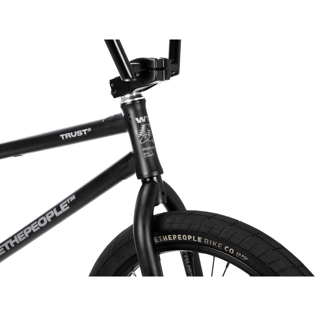 Wethepeople Trust 20 Inch Freecoaster/Hybrid Bike