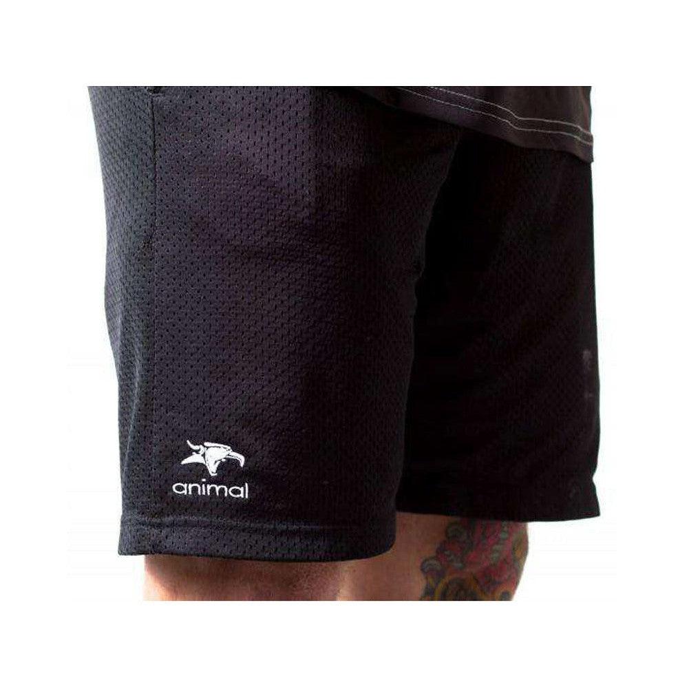 Animal Champion Shorts / Black / M