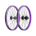 Purple/Black
