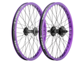 Purple/Black