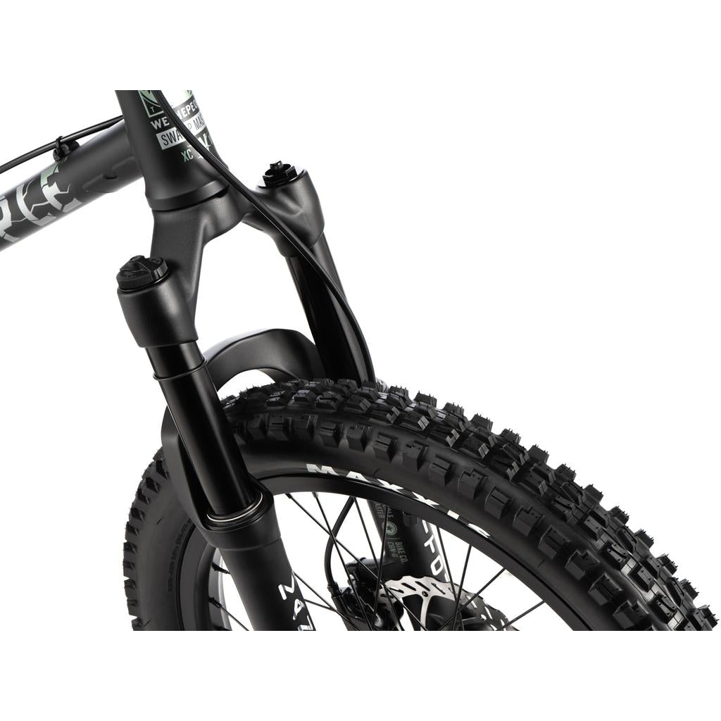 Wethepeople Swampmaster 20 Inch Bike | Shop at LUXBMX