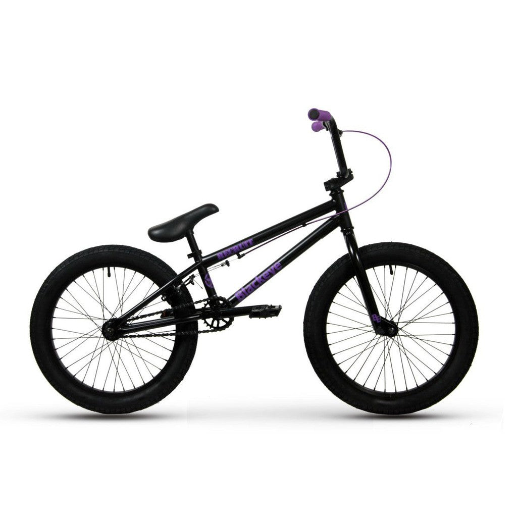 Black Eye Recruit 20 Inch Bike (2022) / Matte Black / 18.5TT