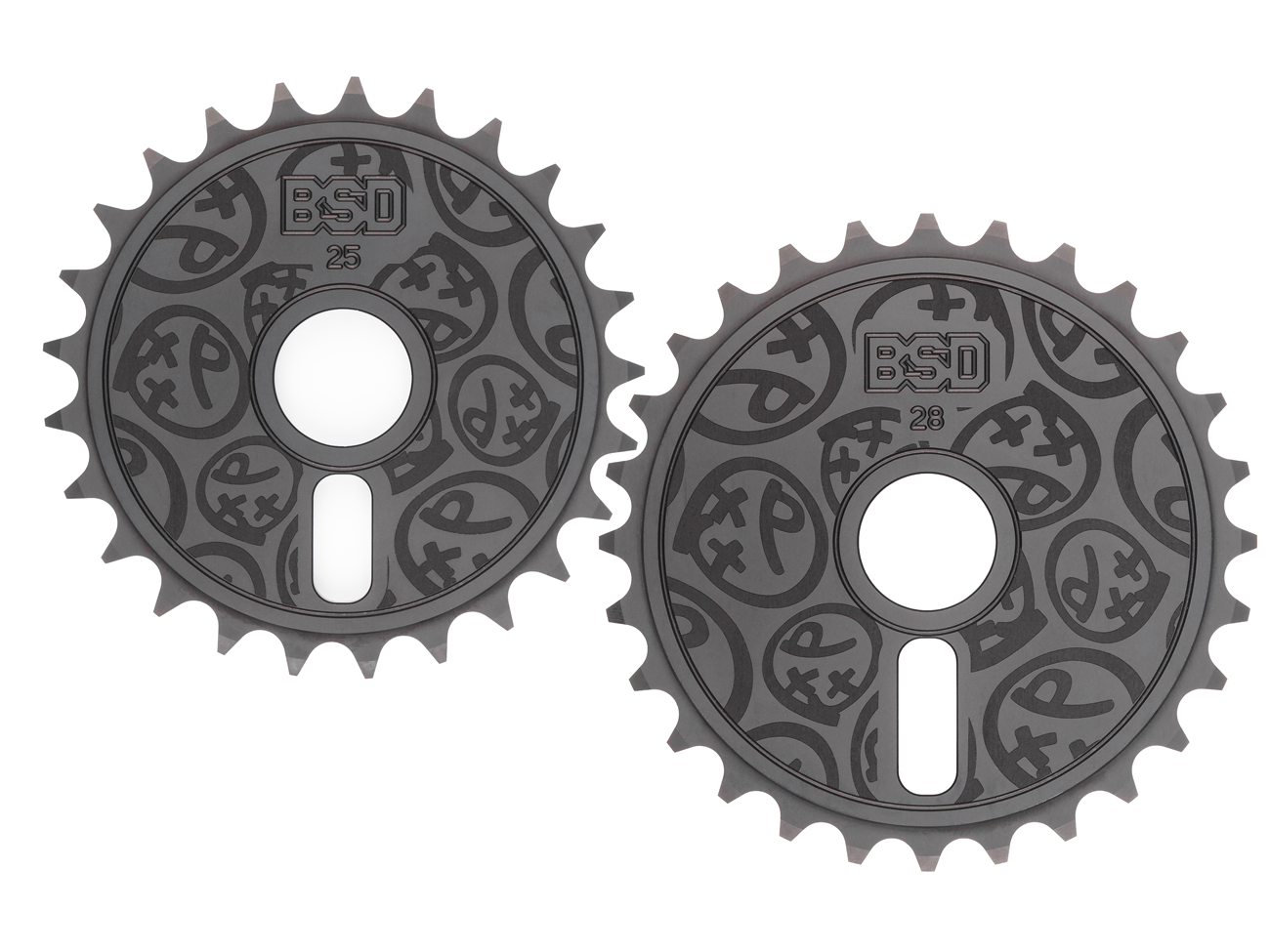 BSDS008