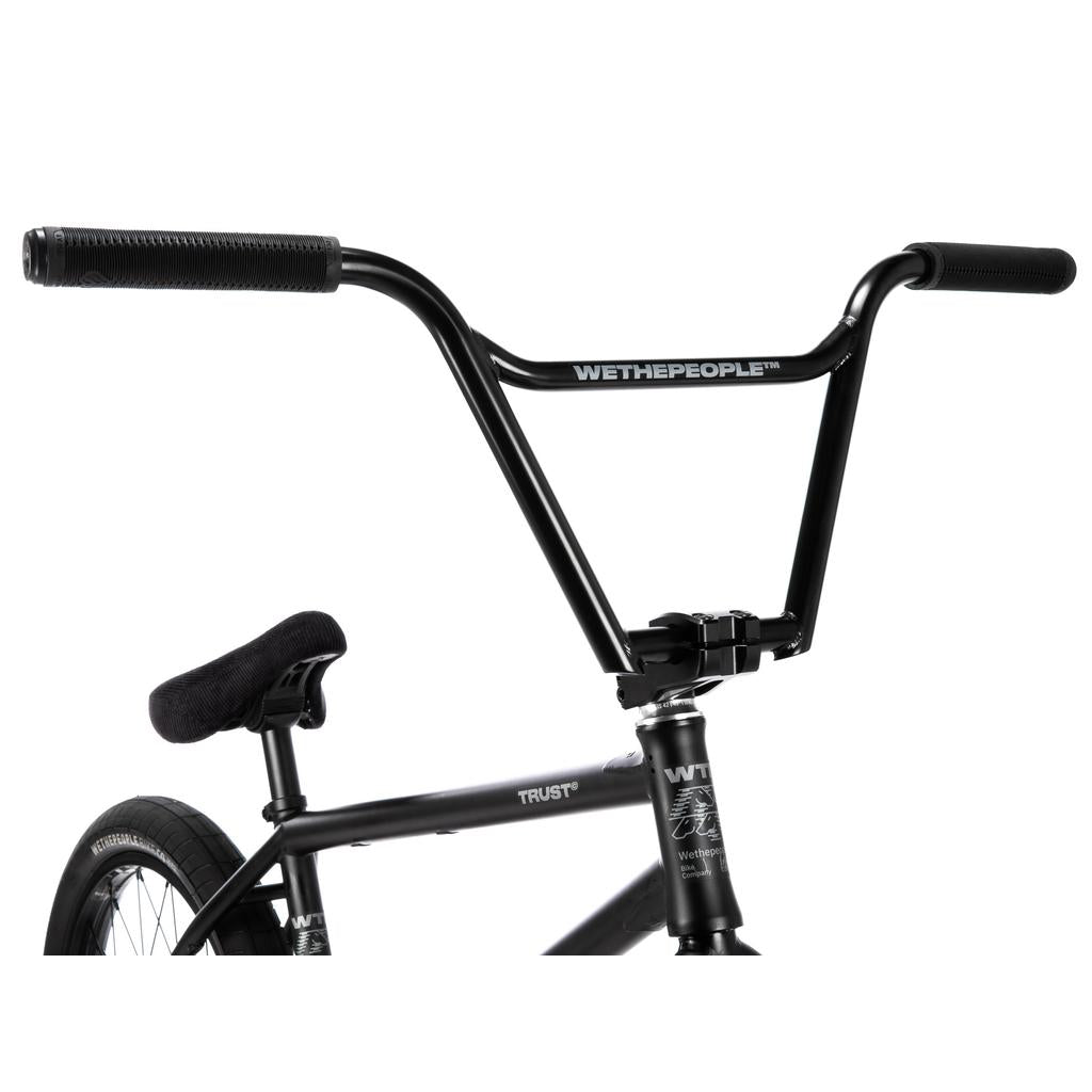 Wethepeople Trust 20 Inch Freecoaster/Hybrid Bike