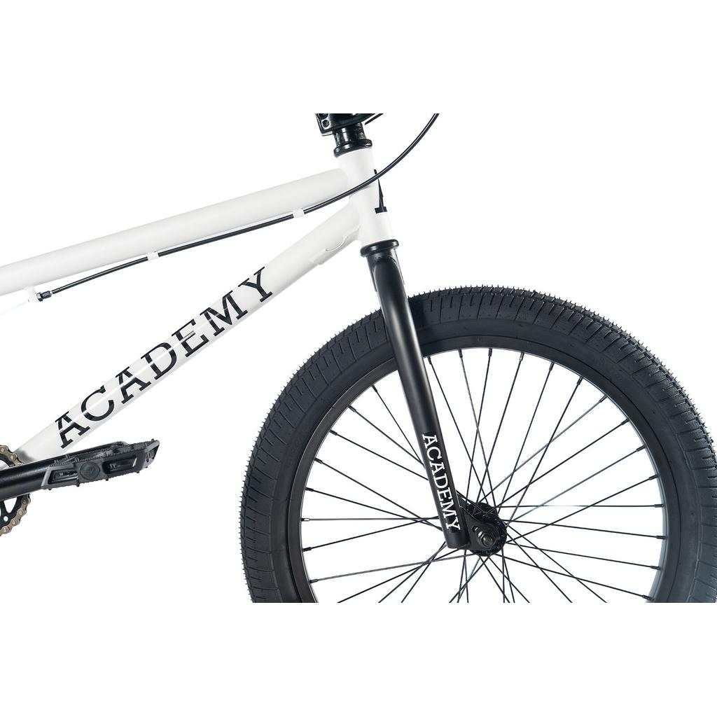 Academy Trooper 20 Inch Bike, White / Black Fade