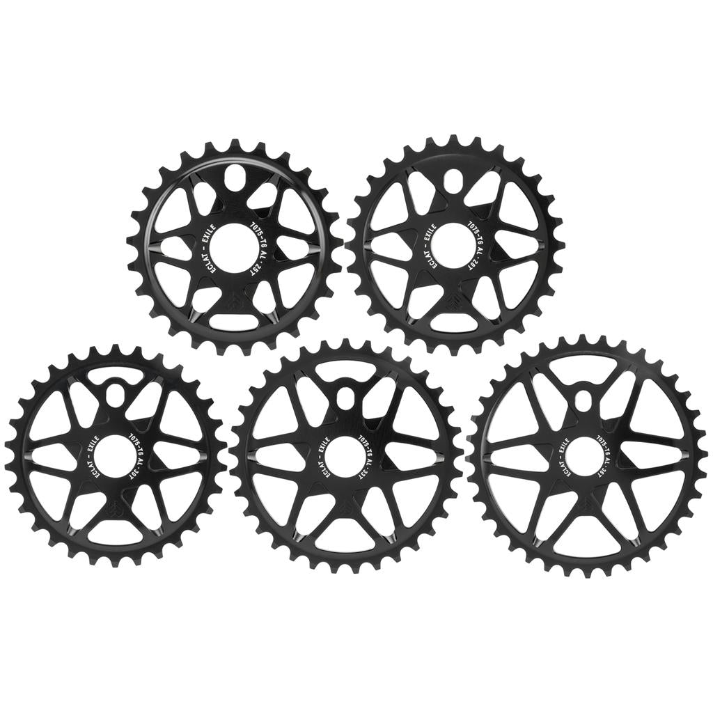 ECDS008