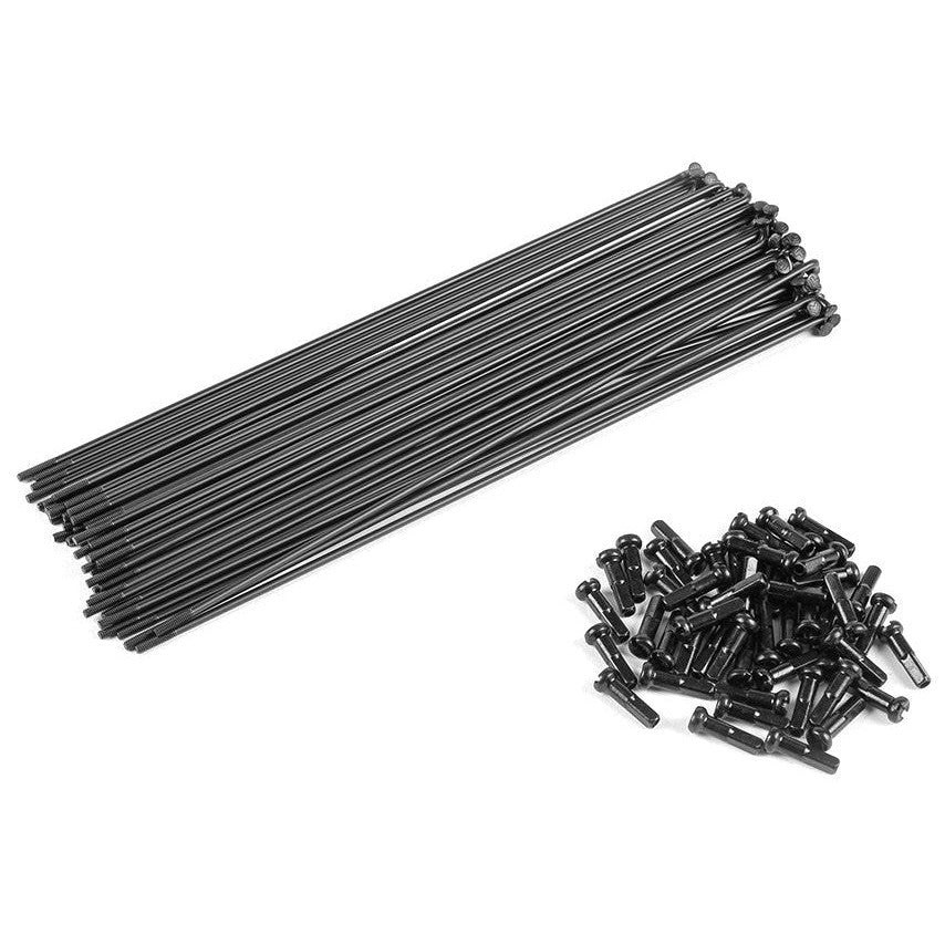 Eclat Stainless Spokes (40 pack) / 184mm / Black