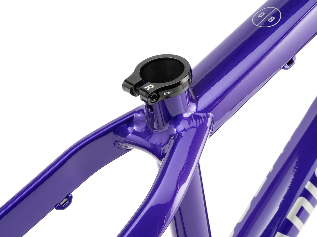 Radio Griffin Pro 26 Dirt Jumper Frame