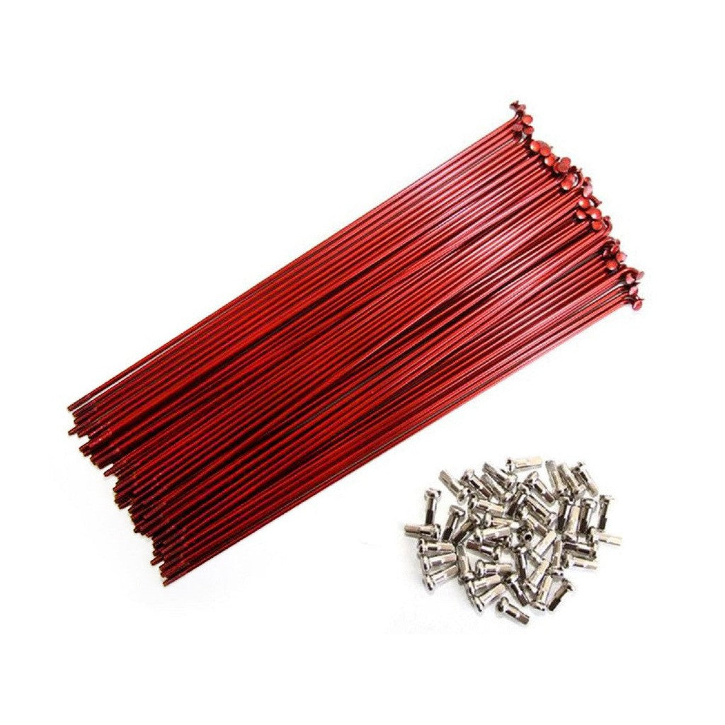 Odyssey HGS Spokes and Nipples (40 Pack) / Red/Silver Nipples / 188mm