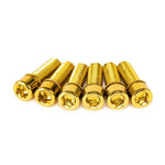 Salt Solid Stem Bolts / Gold
