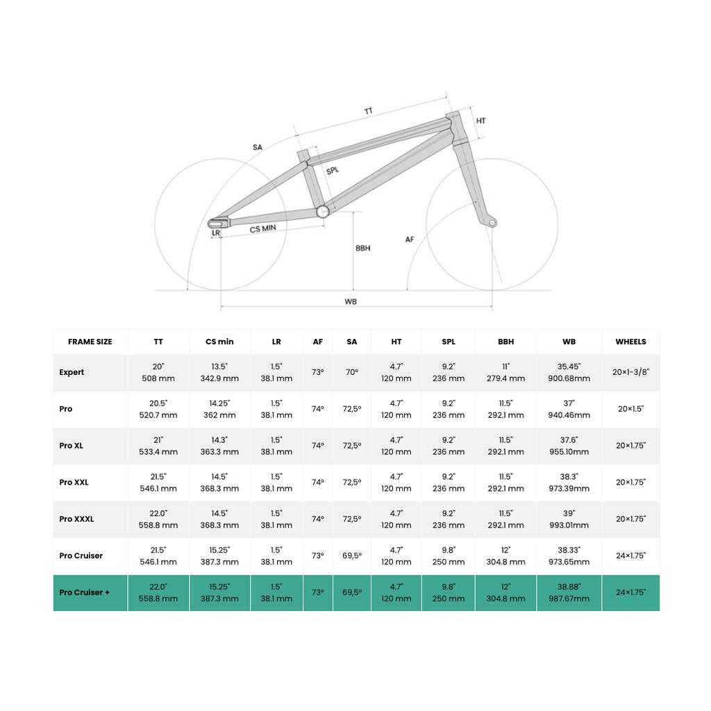 Chase Element Pro XXL Race Bike (2027) | LUXBMX