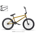 Matt Trans Gold