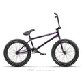 Black Purple