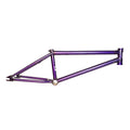 Trans Purple