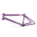 Plum Crazy Purple