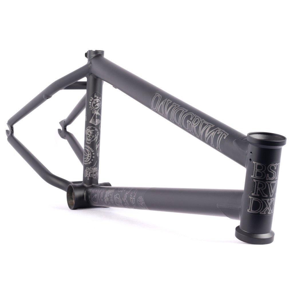 BSD Raider V3 Frame (2022) | Shop at LUXBMX