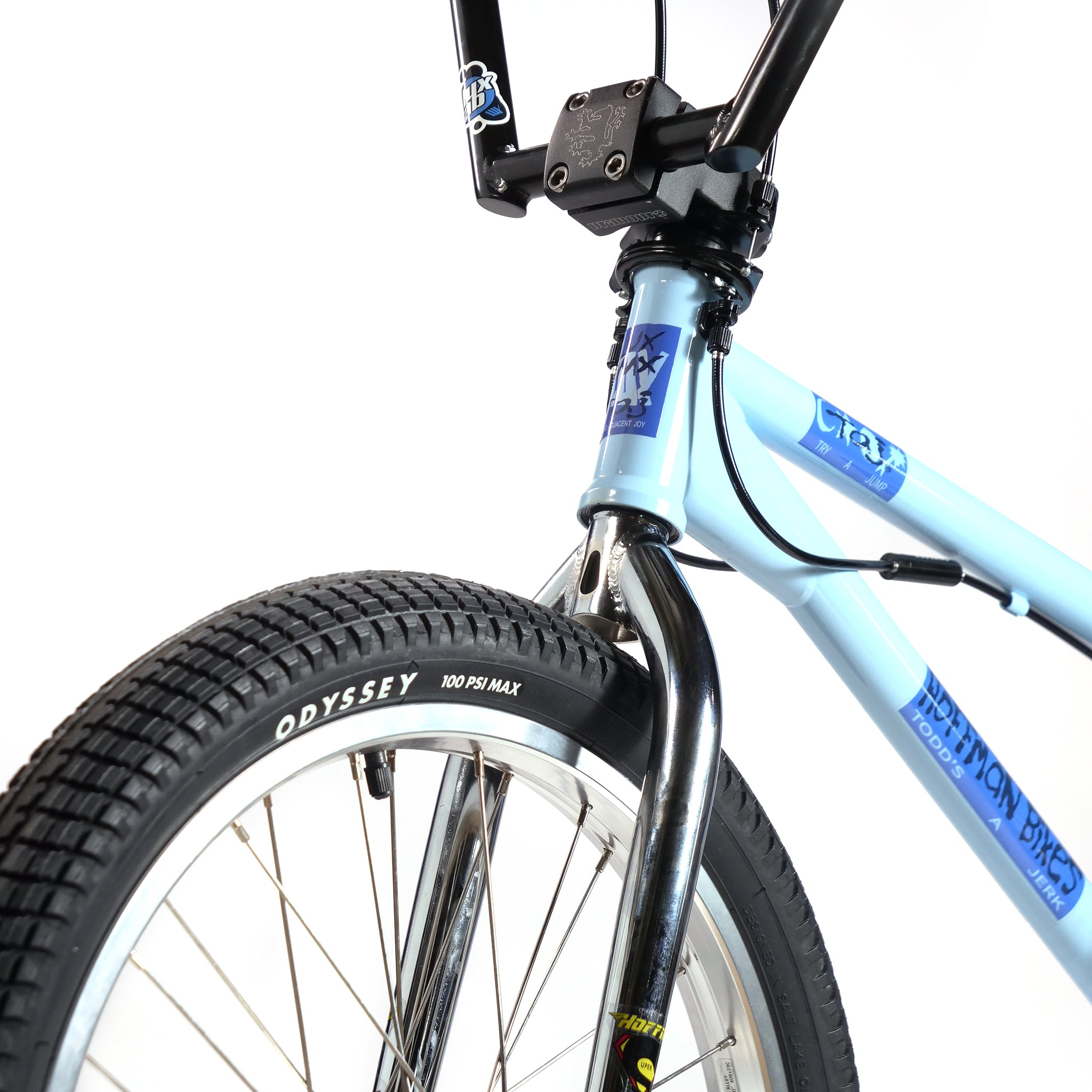Hoffman TAJ Trend Adjacent Joy 20 Inch Custom Bike