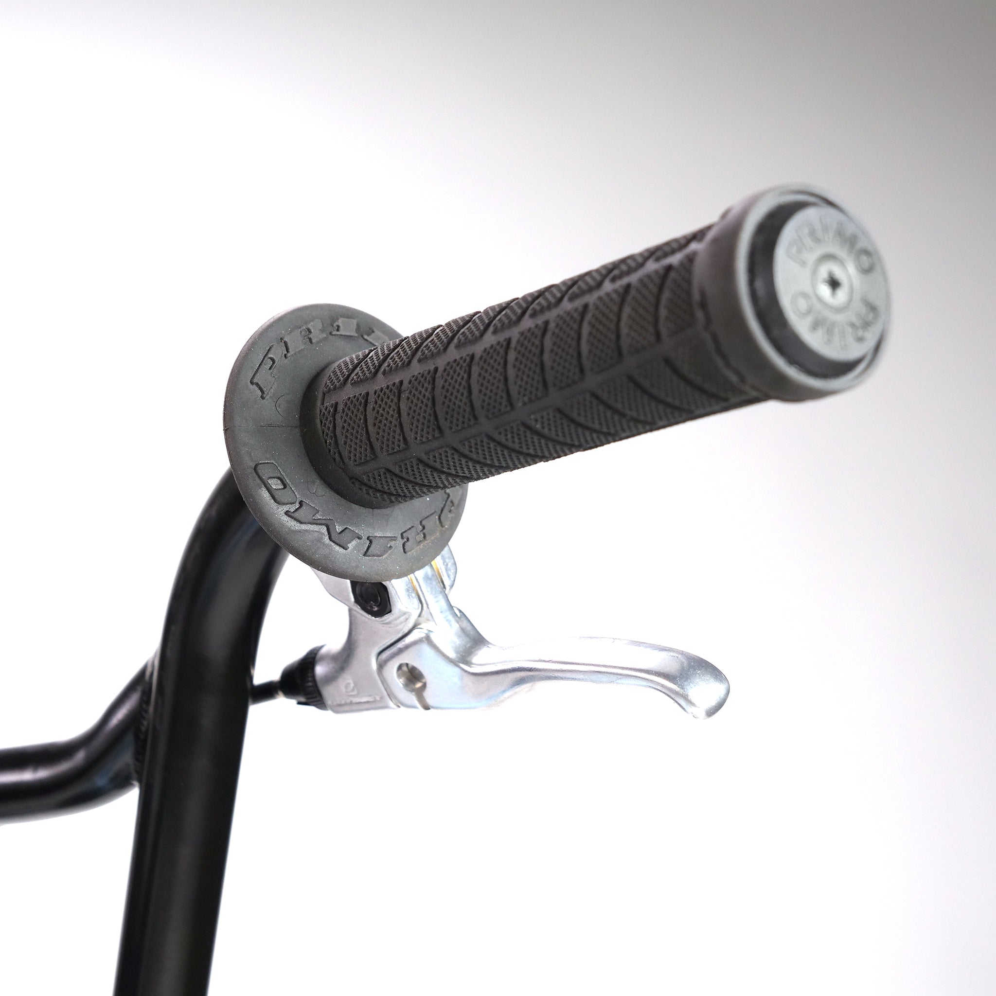Hoffman TAJ Trend Adjacent Joy 20 Inch Custom Bike
