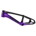 Black/Purple