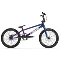Purple/Navy