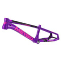 Purple / Pink / Black