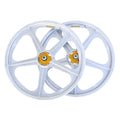 White w/Gold Flange