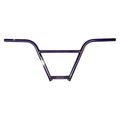 Trans Purple
