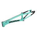 Black/Mint